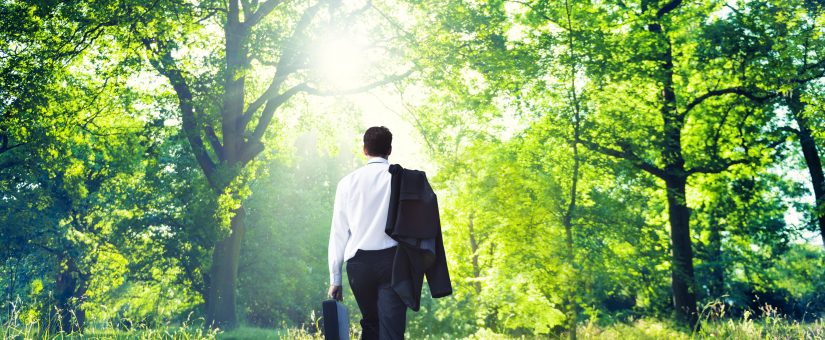 Back to the roots – die Impulse finden wir in der Natur